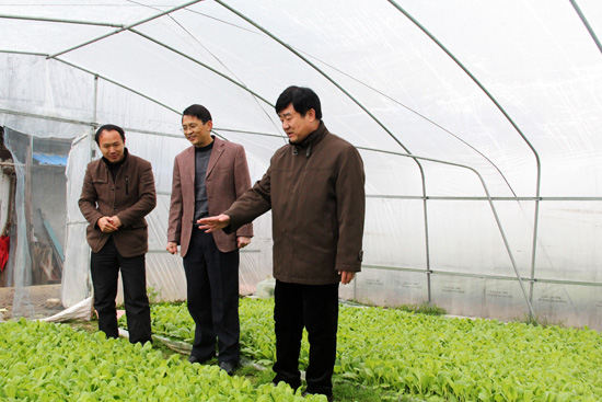 2014��2��19�գ���ˮʯ�����������Ҷ����������ͼΪ��ˮʯ�鿴�������������