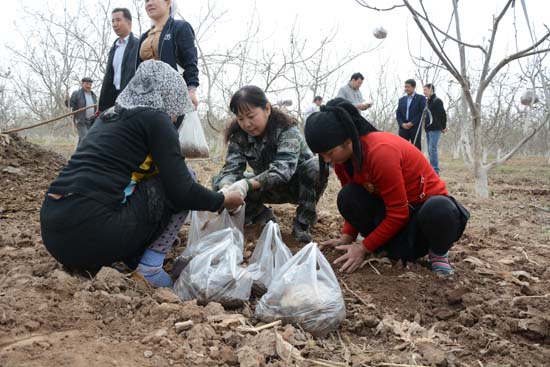 �½�������ί�������ס���ڼ������Ⱥ��Ϊ��������֦��֦