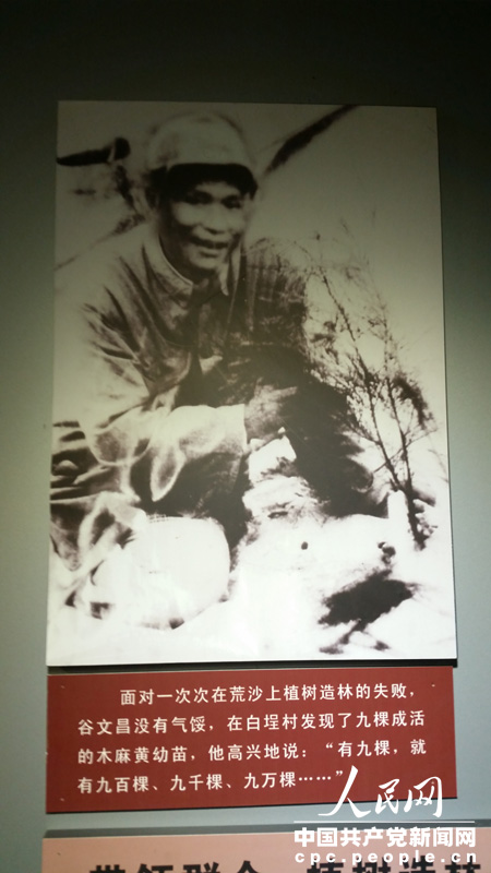 �ʾ���չʾ�Ĺ��Ĳ���Ƭ���¼����ܣ����������� ����ѩ �㣩