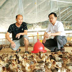 �����嵳��֧��һ������Ϊƶ������������