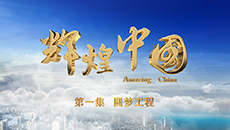 2017-11-05	�γ����ƣ����Ի��й�����һ����Բ�ι��̡�		���ߣ����������������̨		��λ���������̨		�γ̼�飺������͸������Ĵ��š�������������֣����·�����˺š��Ϻ���ɽ���Զ�����ͷ���й��ƶ���������һ�����������̣�������������һ�����й���������Ĵ�������α�֯�����������Ҹ�������ϸ��