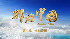 2017-11-05	�γ����ƣ����Ի��й�����������Э����չ��		���ߣ����������������̨		��λ���������̨		�γ̼�飺 �߱鶫���ϱ���������¼�������Ϻ����ǵ�Ц�ݡ���¼�·�ƶ�ɲ��ĺ����ᡢ��¼�¹���С�����ͳ����漣����¼�¡�����ģʽ��������ǣ�ֵĳɹ���Խ����¼��һ������ɫС�����ĳ��С�����Ⱥ�����𡣣���ϸ��