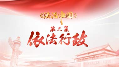 2017-11-05	�γ����ƣ��������й�������������������		���ߣ��������̨		��λ���������̨		�γ̼�飺����ְ�����Ϊ��������Ȩ����Ϊ����Ȩ������Υ����׷����������������Ĺ��ͣ�ҲҪ��Ϊ�ط��İ������ҳ����ܷ�����ʵ�����񡣣���ϸ��