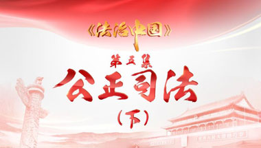 2017-11-05	�γ����ƣ��������й������弯 ����˾�����£�		���ߣ��������̨		��λ���������̨		�γ̼�飺˾��Ϊ�����й����������跨���й��ĳ��������ŵ㡣��������ѣ������˵����˵������ż������������������˾��������Ч�ʣ��ƽ�ִ���ѣ��÷��ɲ������Ρ�����ϸ��