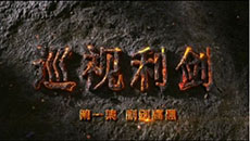 ��Ѳ����������һ������������