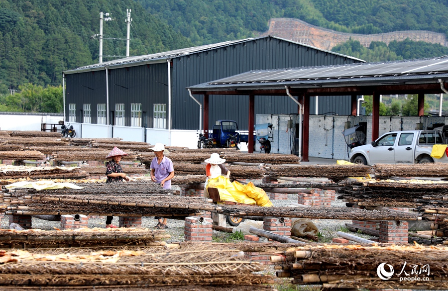 �ݼʴ�����õ������˿���ġ������ġ��������� Ҷ������