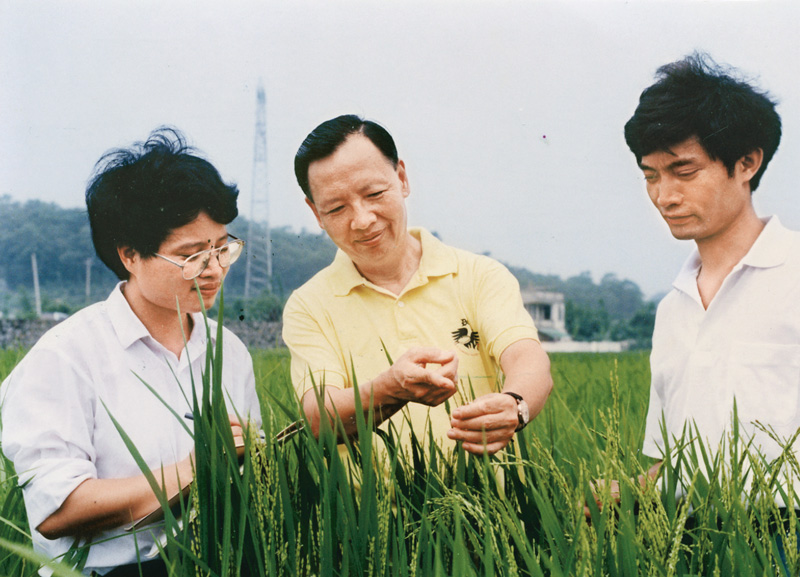 卢永根(中)在水稻试验地指导博士研究生(资料照片)。新华社发(华南农业大学供图)