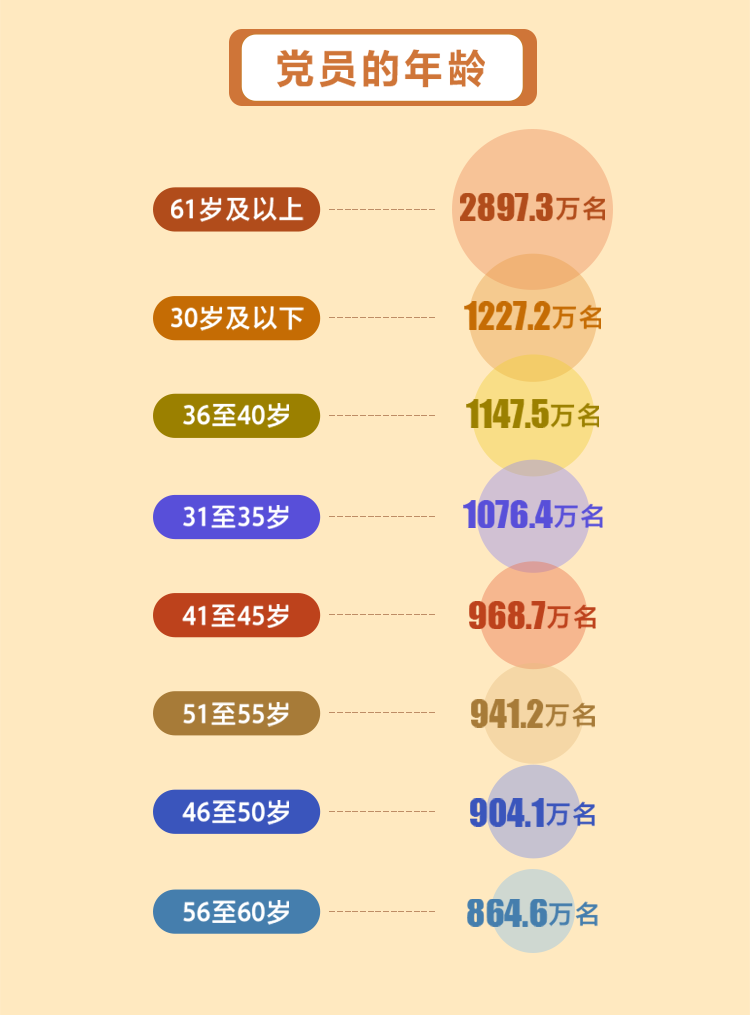 党内统计公报 (4)