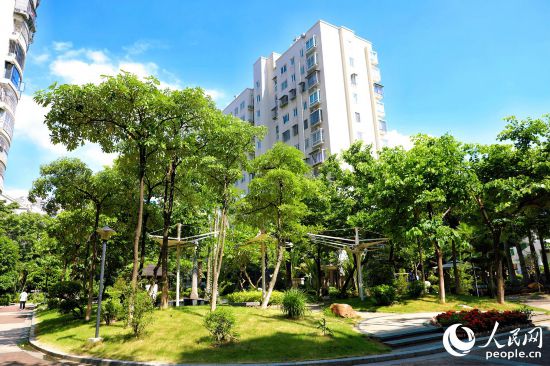 厦门市集美区宁宝社区通过党建引领“自治+物业顾问”推动社区环境整治焕新。人民网 李唯一摄