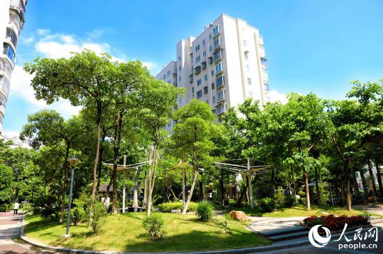 海韵华庭小区环境整治后,步道、凉亭、绿荫替代了曾经的“杂草丛生”。人民网 李唯一摄