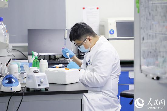 园区内,福州市安布瑞生物技术有限公司技术专家正在开展生物医药研究。人民网 李唯一摄