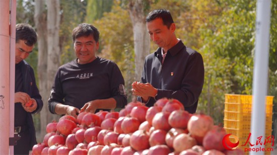 村民正在沿街售卖新鲜采摘的石榴。人民网 李欣洋摄