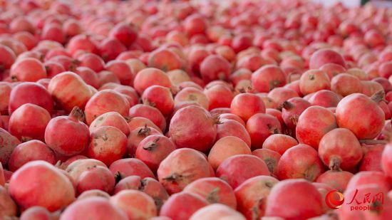 新鲜采摘的石榴。人民网 李欣洋摄