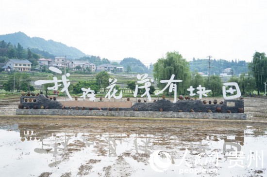 花茂村。人民网 阳茜摄